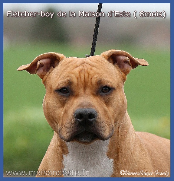 Fletcher-boy De la Maison d'Este