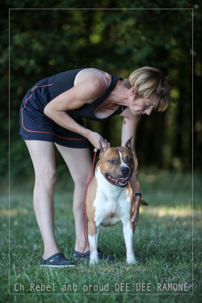 CH. rebel and proud Ch.dee-dee ramone