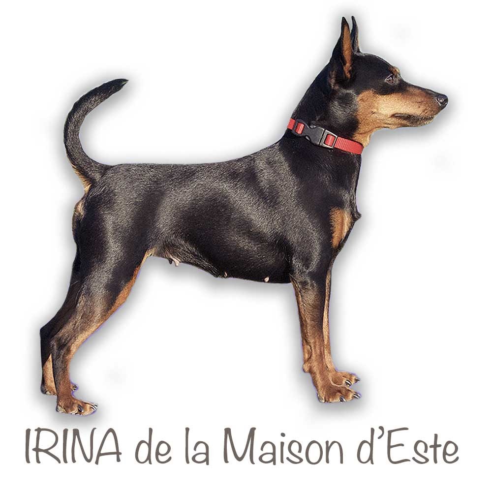 Irina De la Maison d'Este