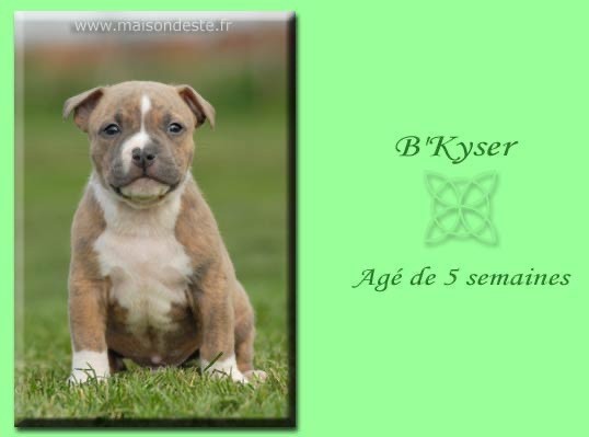 B'kaiser De la Maison d'Este