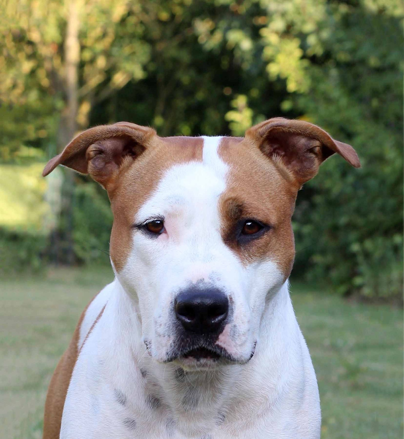 Prana De la Maison d'Este